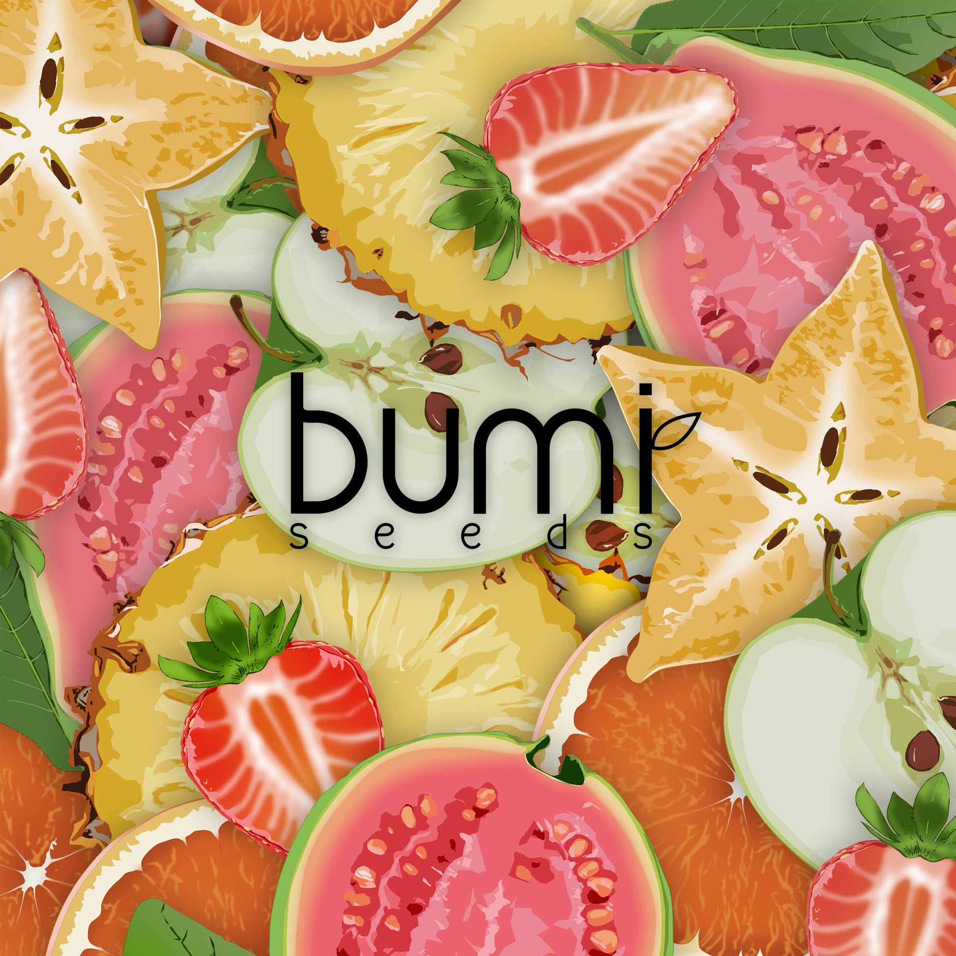 Fruits card