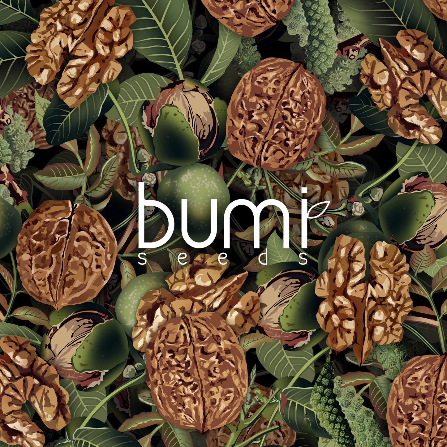 Walnuts Card Bali