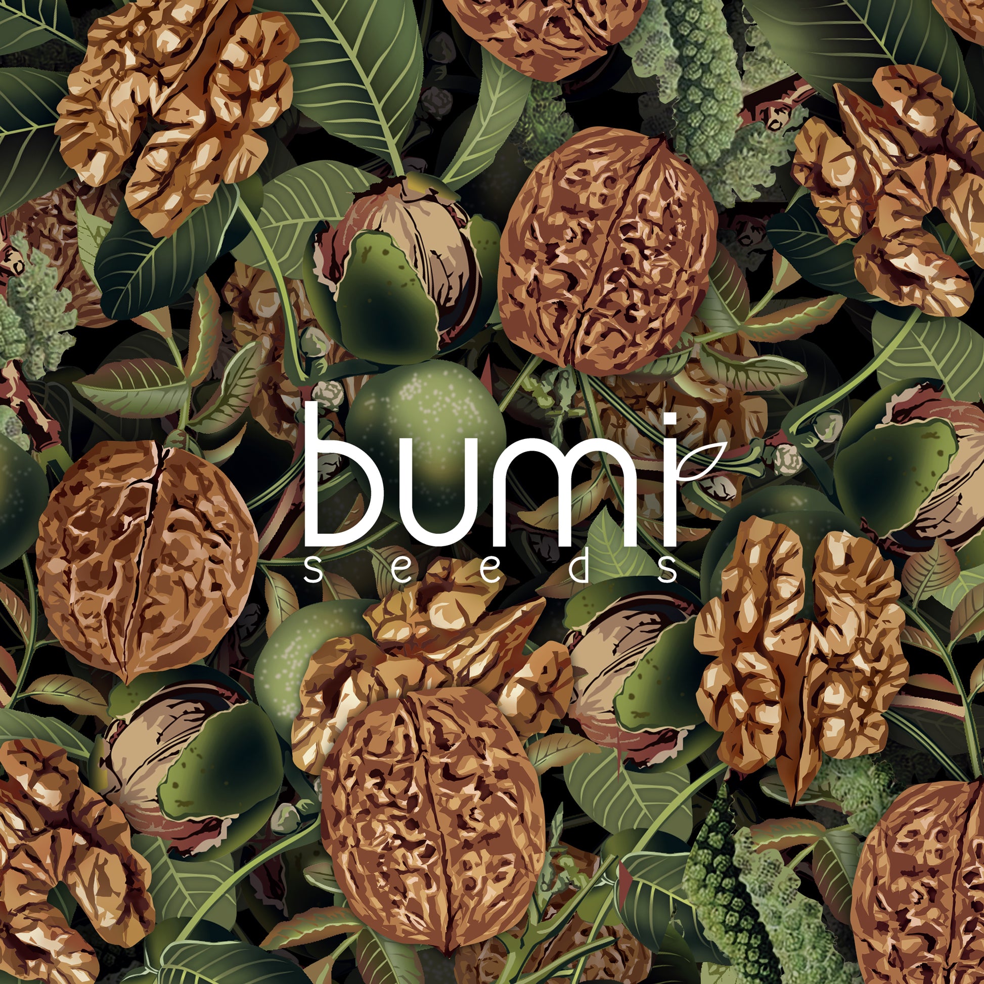 Walnuts Card Bali