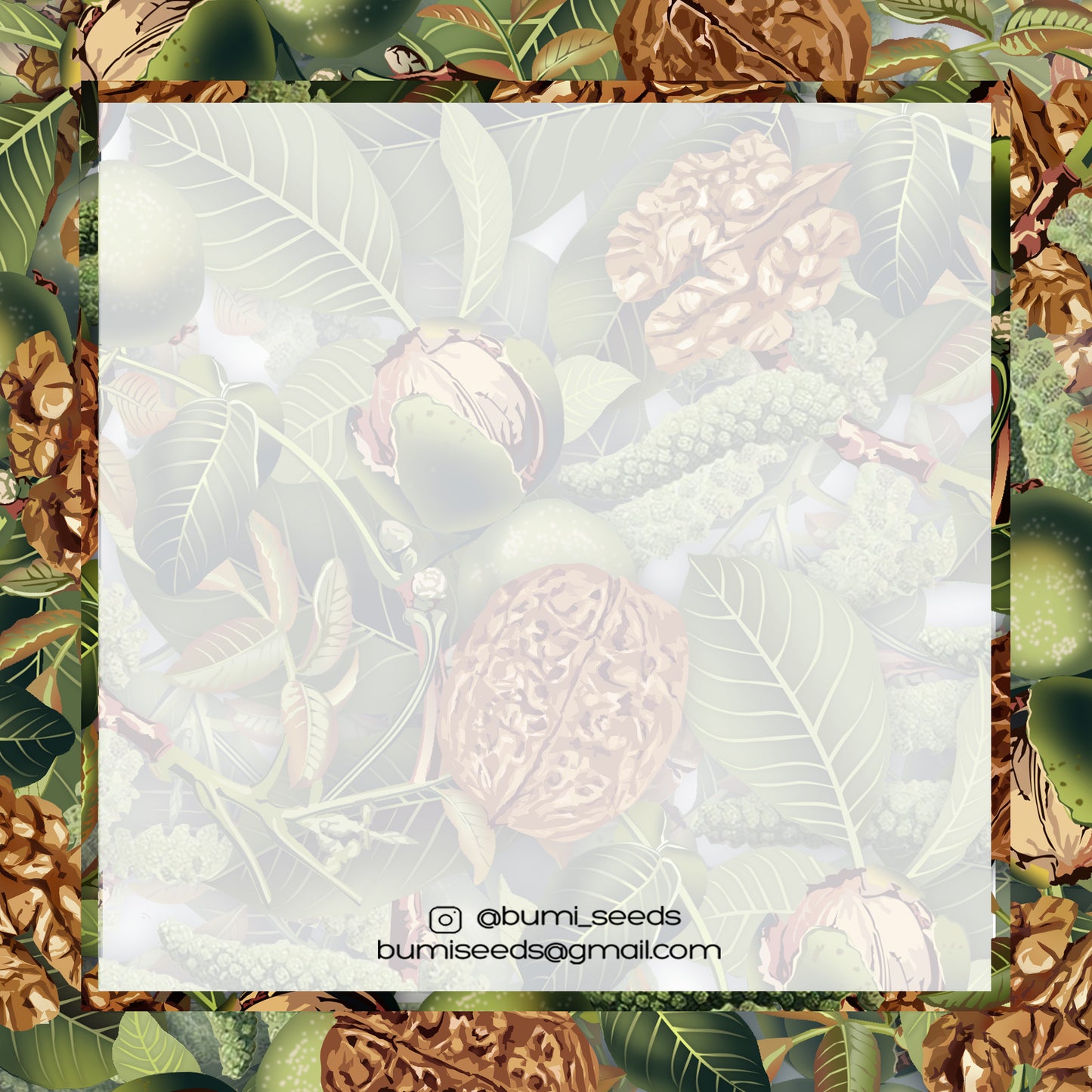 Walnuts Card